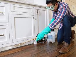 Best Real Estate Pest Inspections  in Long Lake, MN