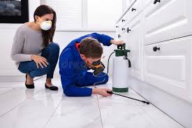 Best Commercial Pest Control  in Long Lake, MN